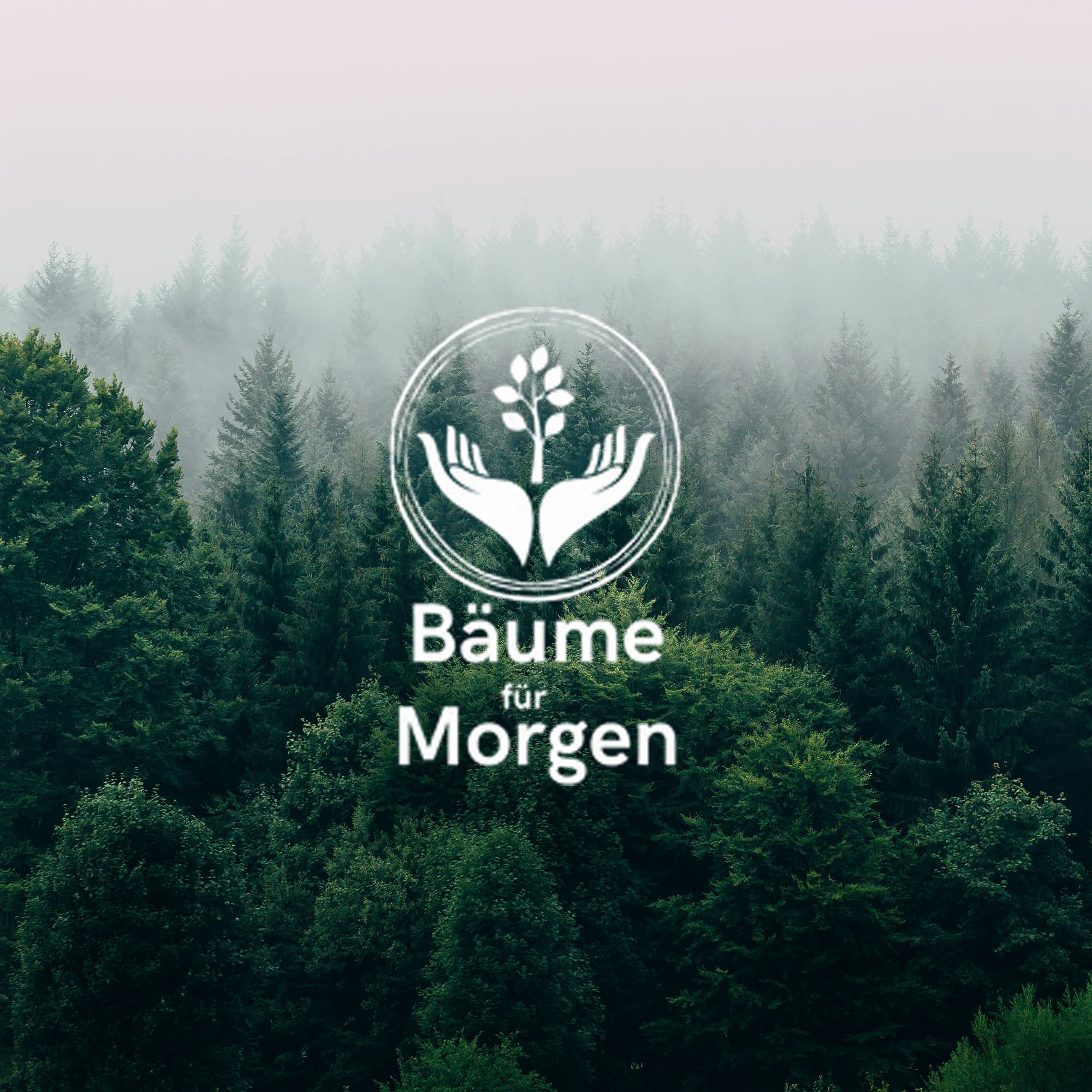 Logo Bäume für Morgen Wald