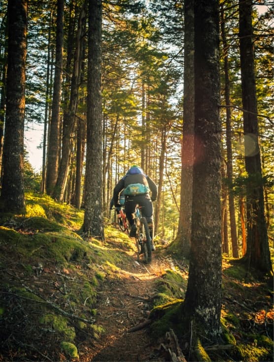 Radfahrer im Wald mit Lichtstrahlen