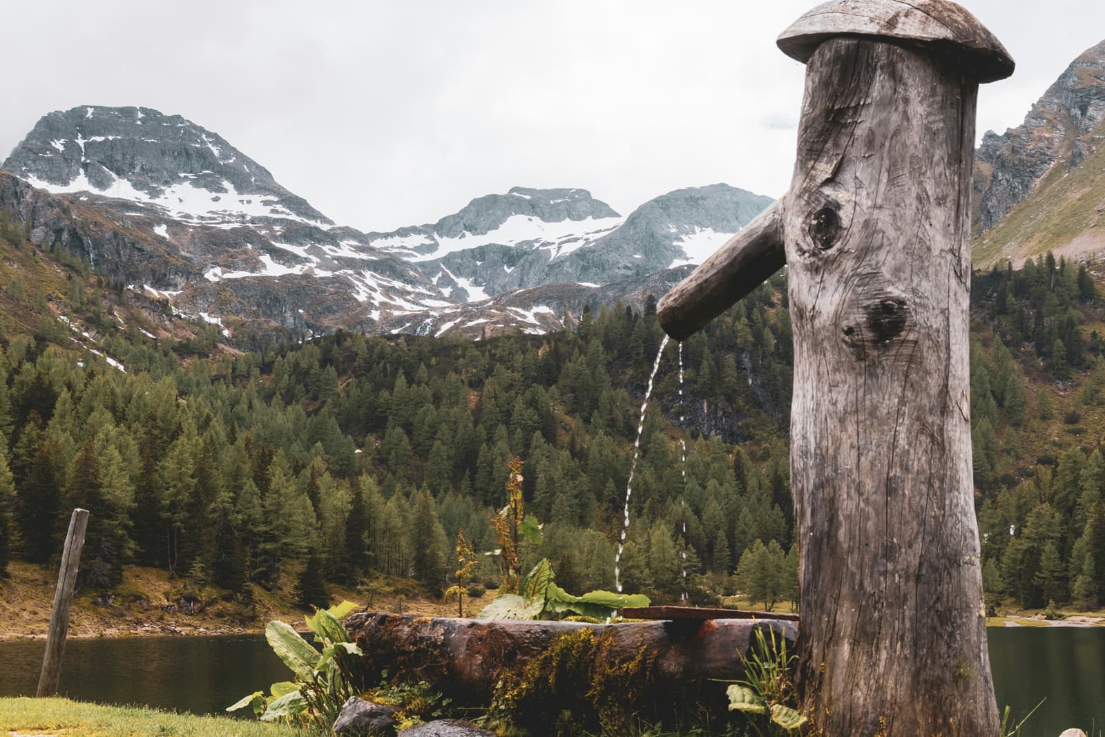 Bergblick mit Holzgeländer